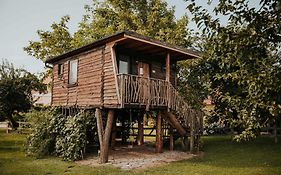 Treehouse Drevesna Hiska Strkovo Gnezdo Ranc Jures