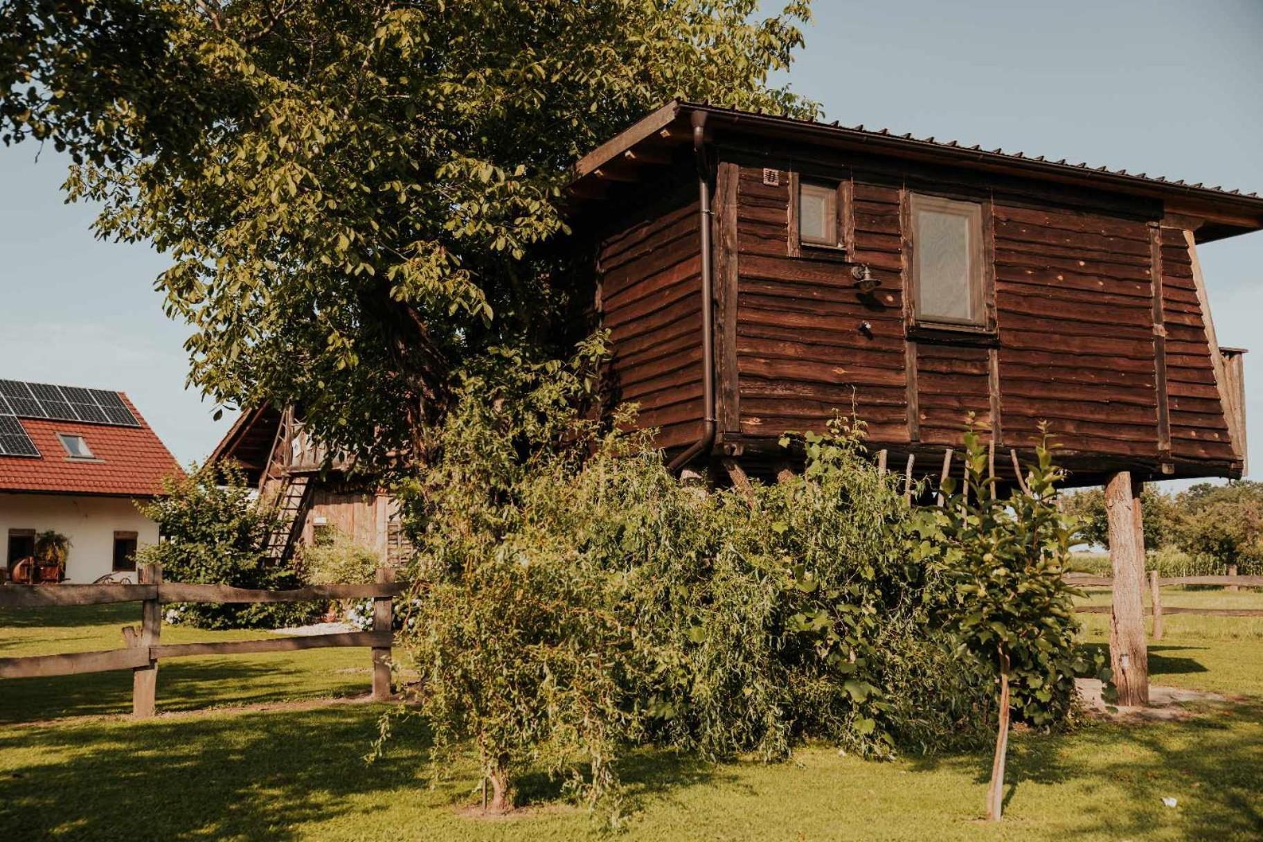 Hotel Treehouse Drevesna Hiska Strkovo Gnezdo Ranc Jures Ljutomer Exterior foto