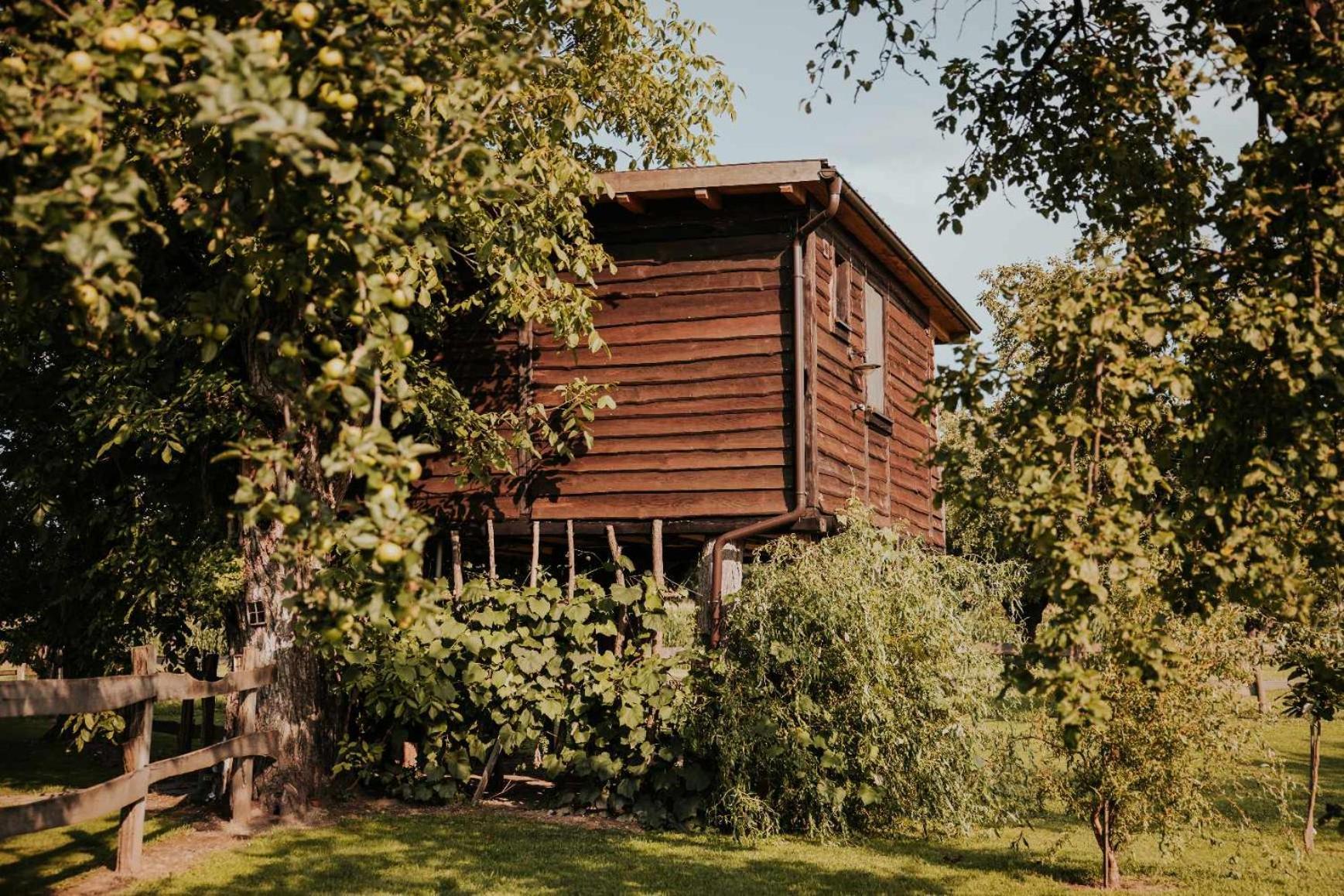Hotel Treehouse Drevesna Hiska Strkovo Gnezdo Ranc Jures Ljutomer Exterior foto